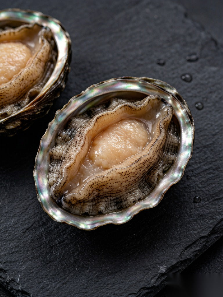 Fresh Abalone - 鲜活鲍鱼