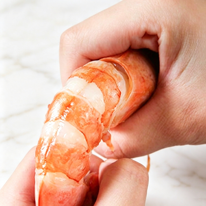 Argentine Red Shrimp L1 - 阿根廷红虾L1
